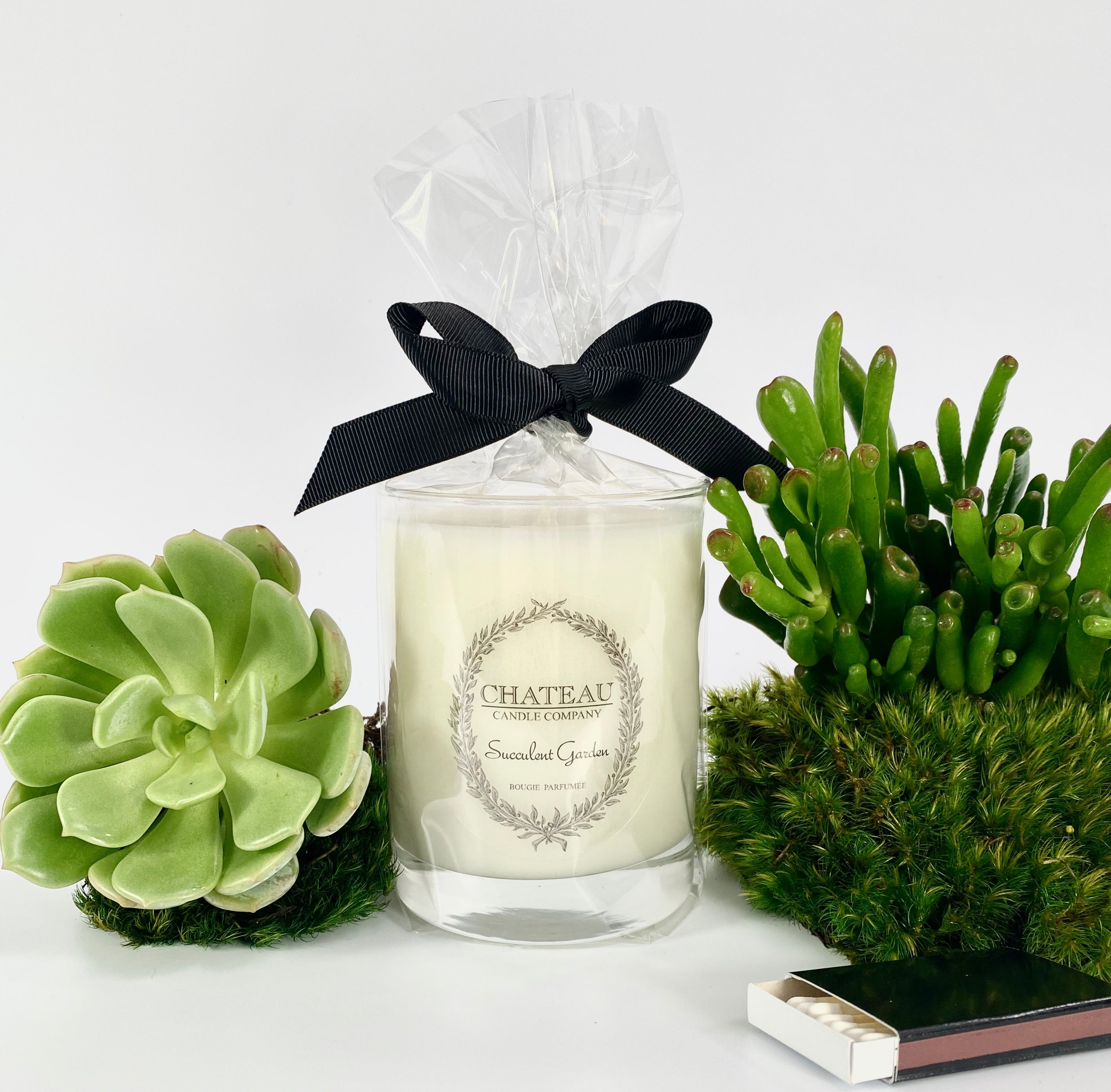 succulent garden candle Succulent Garden Natural Coconut & Soy Candle 10 oz – Chateau Candle Company