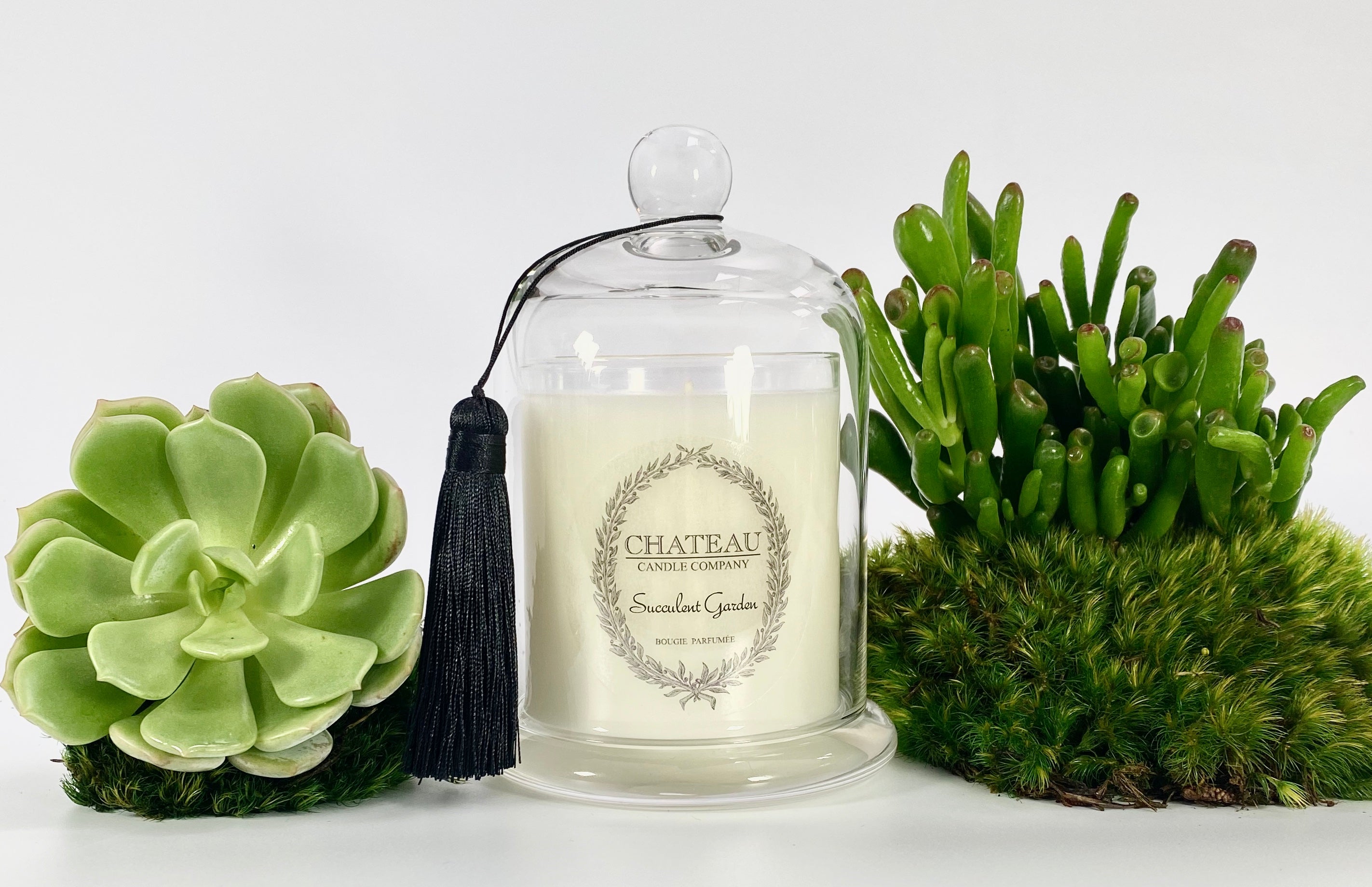 succulent cloche Succulent Garden Scented Candle with Cloche – Chateau Candle Company